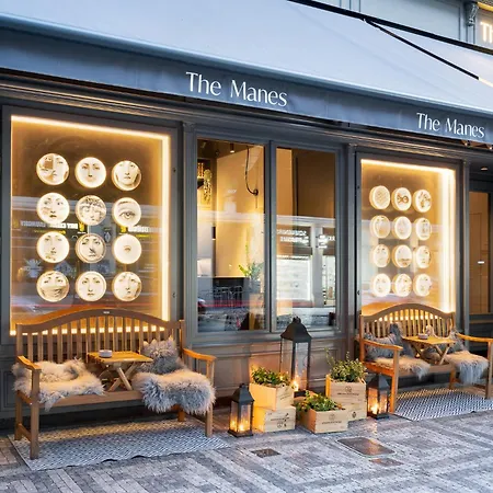 The Manes Boutique Hotel 4*
